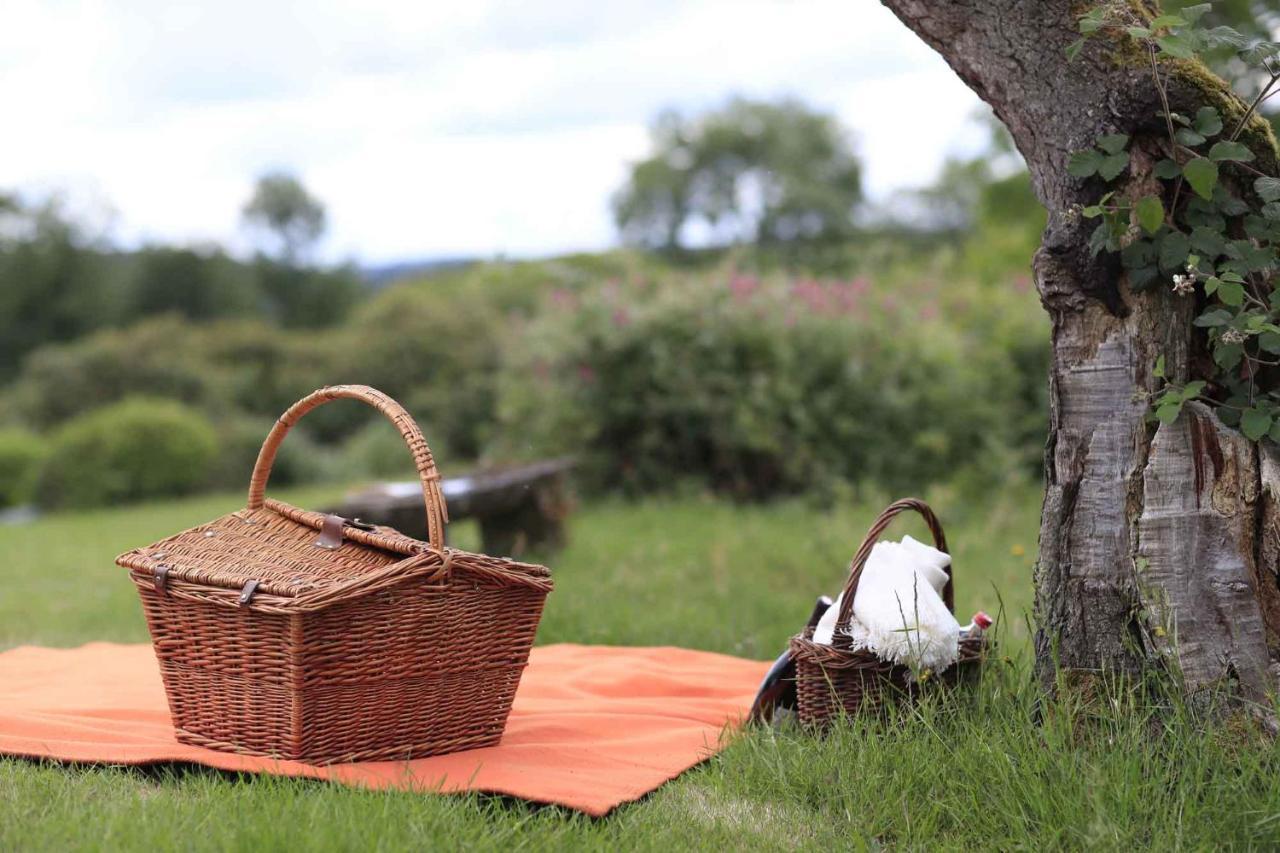 Domaine De Ronchinne - Insolites Maillen ภายนอก รูปภาพ