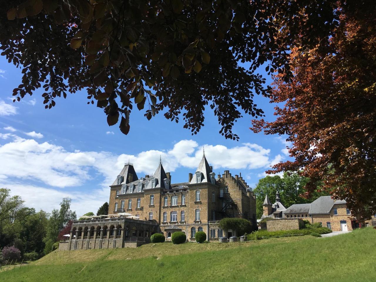 Domaine De Ronchinne - Insolites Maillen ภายนอก รูปภาพ