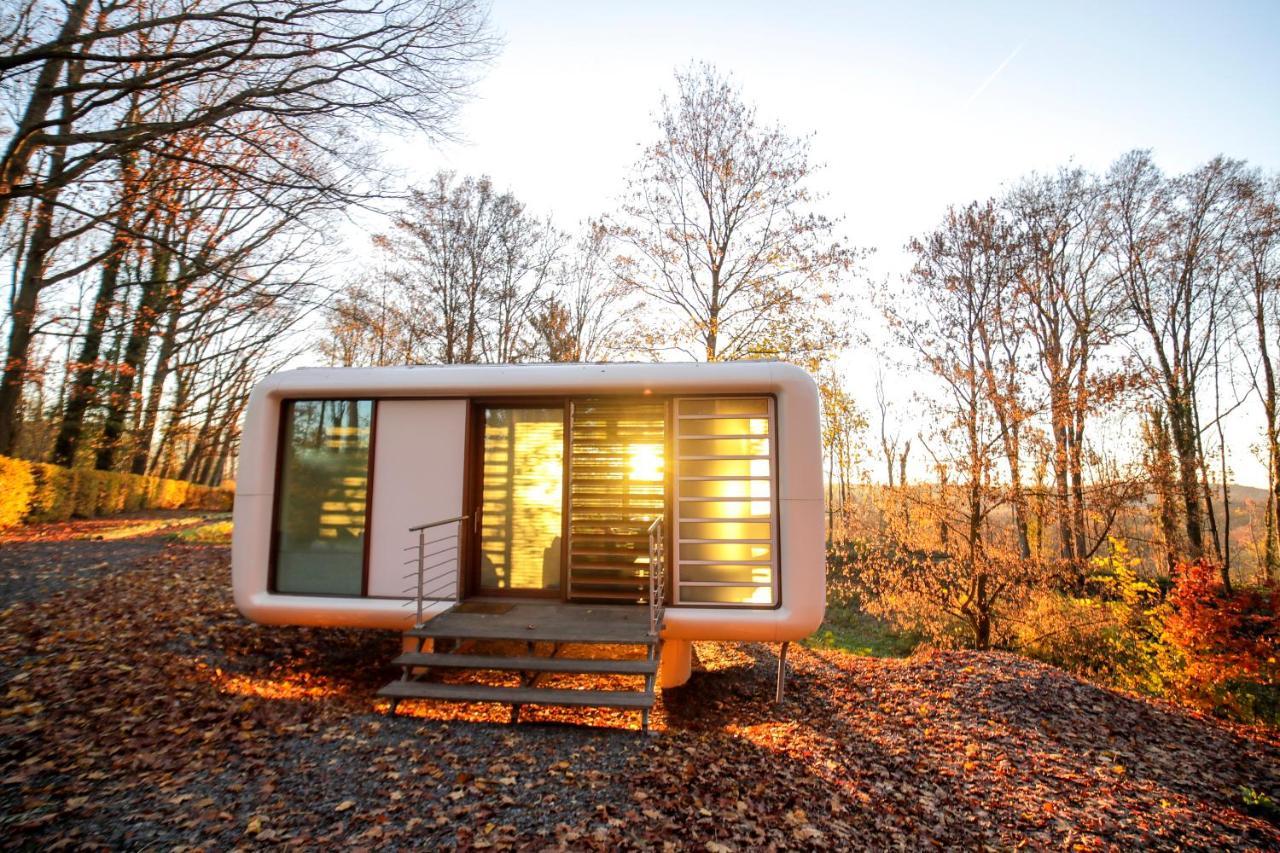 Domaine De Ronchinne - Insolites Maillen ภายนอก รูปภาพ