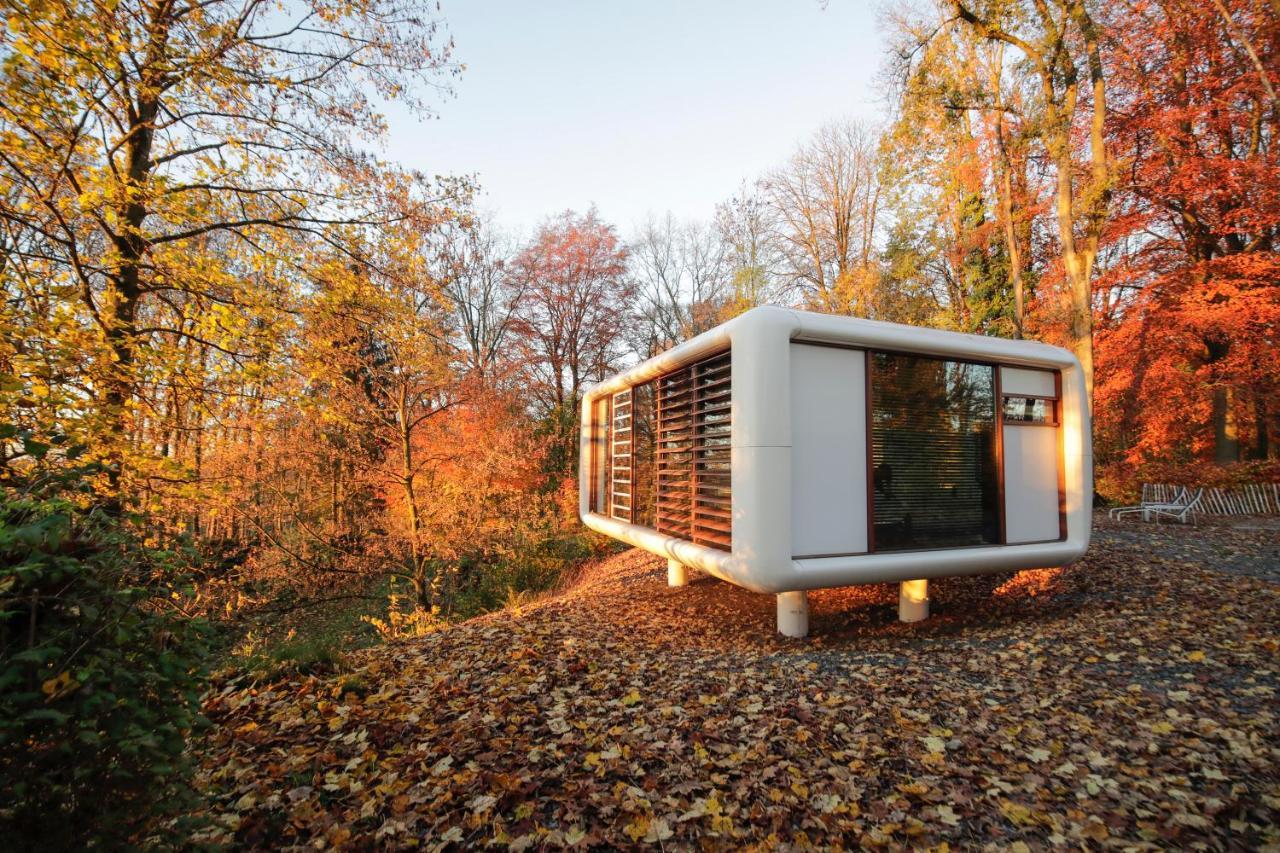Domaine De Ronchinne - Insolites Maillen ภายนอก รูปภาพ