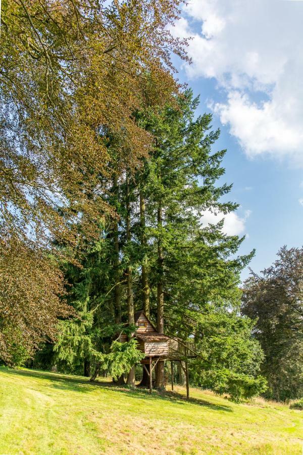 Domaine De Ronchinne - Insolites Maillen ภายนอก รูปภาพ
