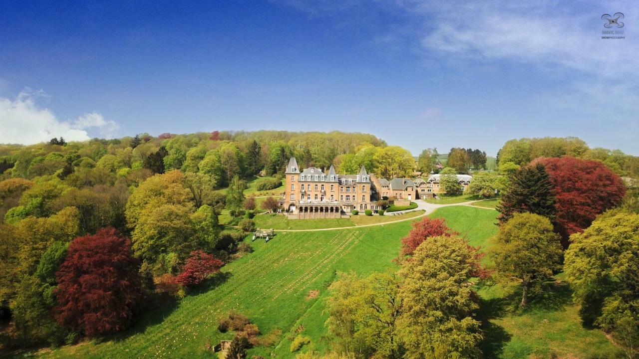 Domaine De Ronchinne - Insolites Maillen ภายนอก รูปภาพ