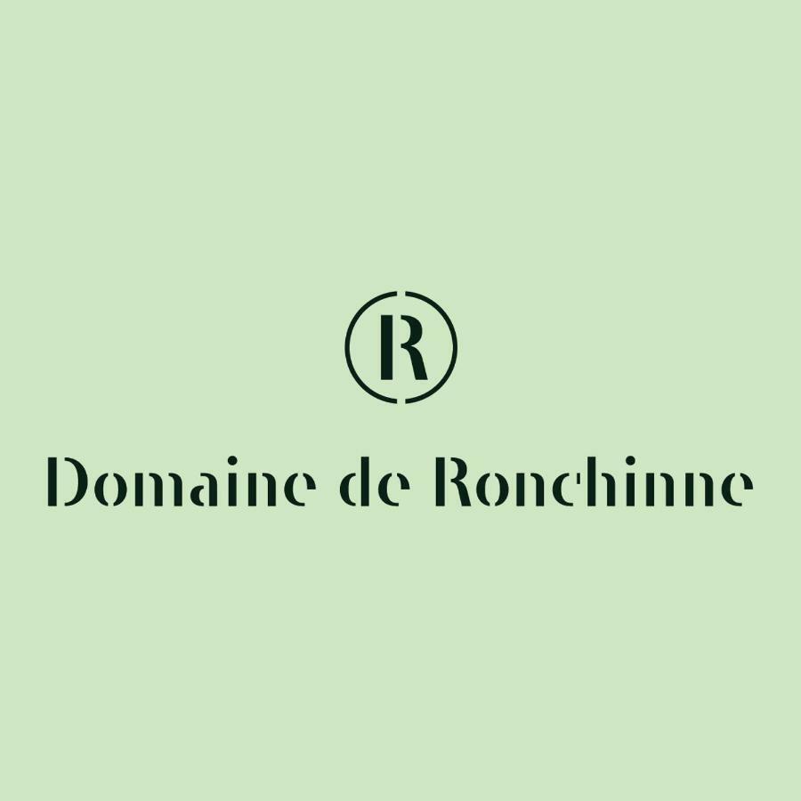 Domaine De Ronchinne - Insolites Maillen ภายนอก รูปภาพ