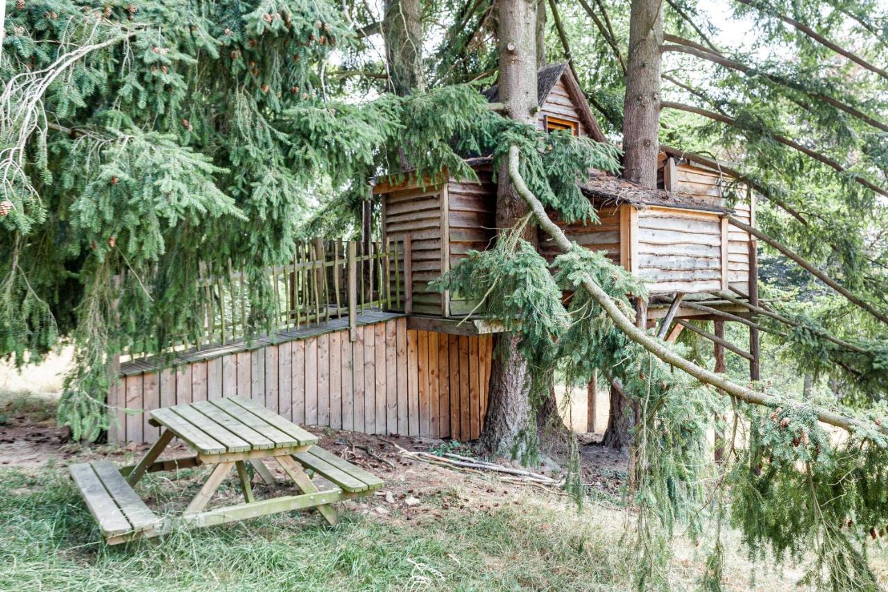 Domaine De Ronchinne - Insolites Maillen ภายนอก รูปภาพ